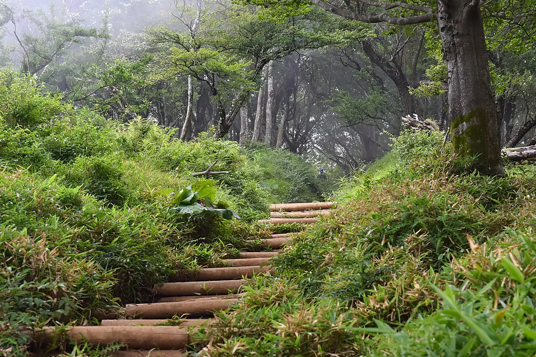 Tanzawa's trail (49441922548)