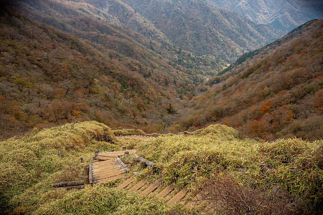 Tanzawa trail (52510002039)