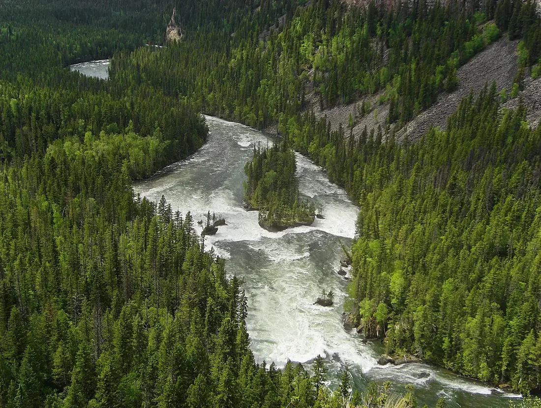 Clearwater River - Flickr - pellaea