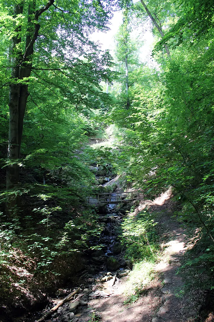 Heslacher Wasserfall 01