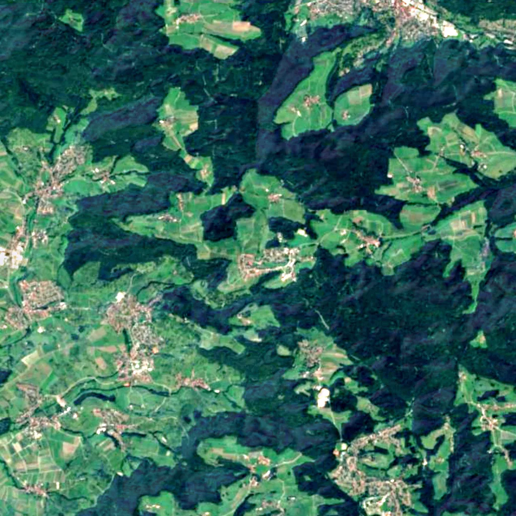 Hörschbach seen from above (Sentinel-2)