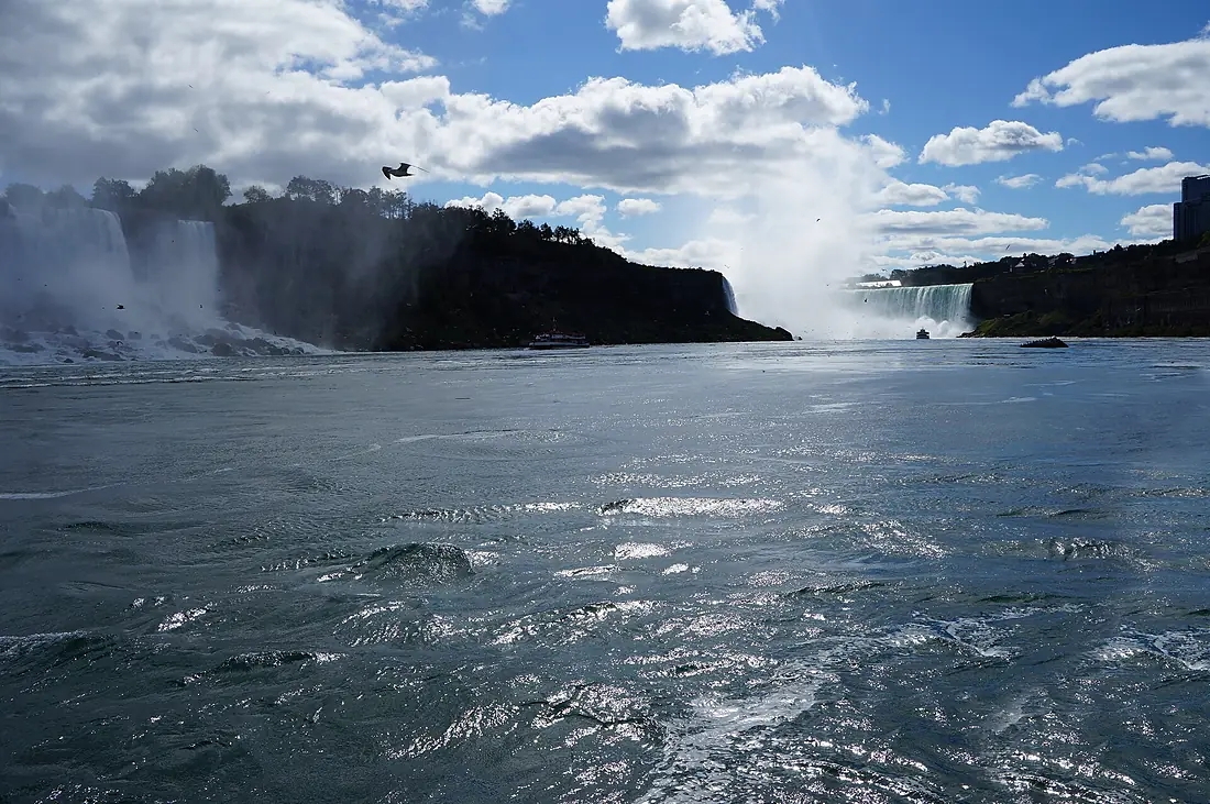 Canadian Horseshoe Falls (en 2017) (8)