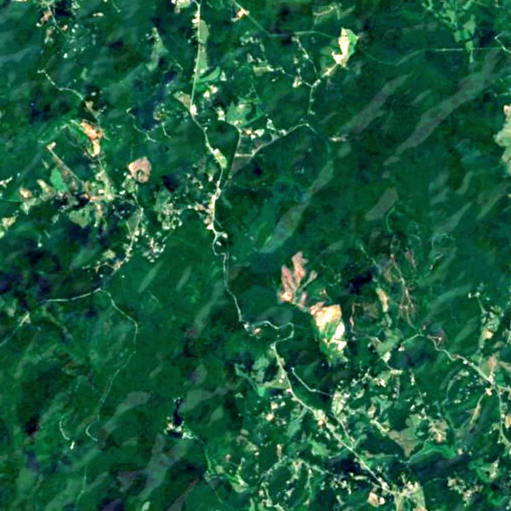 Issaqueena Falls seen from above (Sentinel-2)