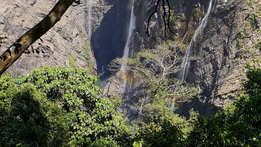 ... Jog Falls (8294573604)