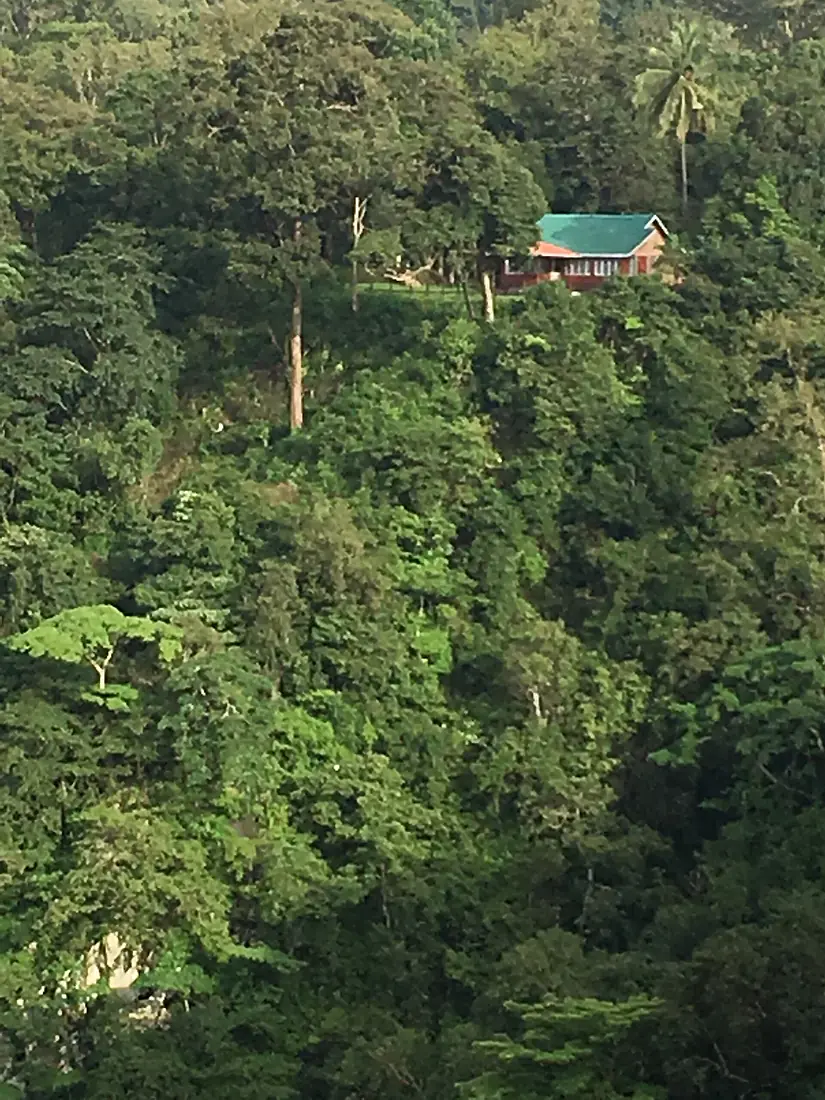 A house amid of the forest near jog falls