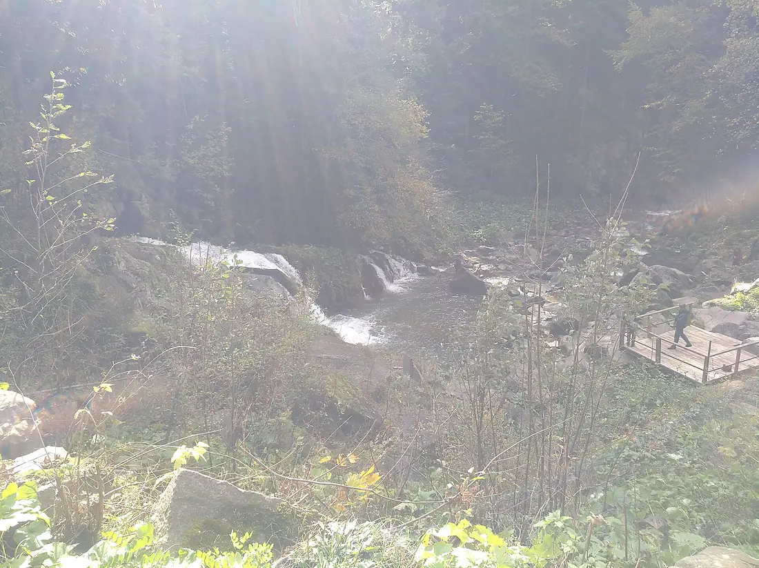 Kamianka River in Skole Beskydy (Oct 2024) 1