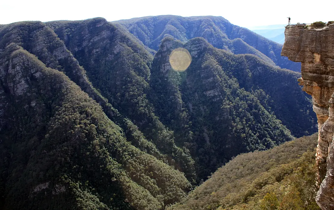 Kanangra Walls - panoramio - Mountain Ash