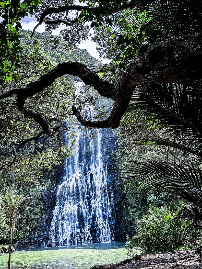 Karekare Falls with a tree branch