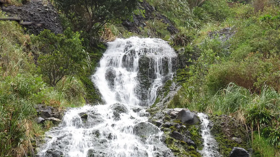 Karekare Falls, Waitakere Ranges, North Island - panoramio (2)