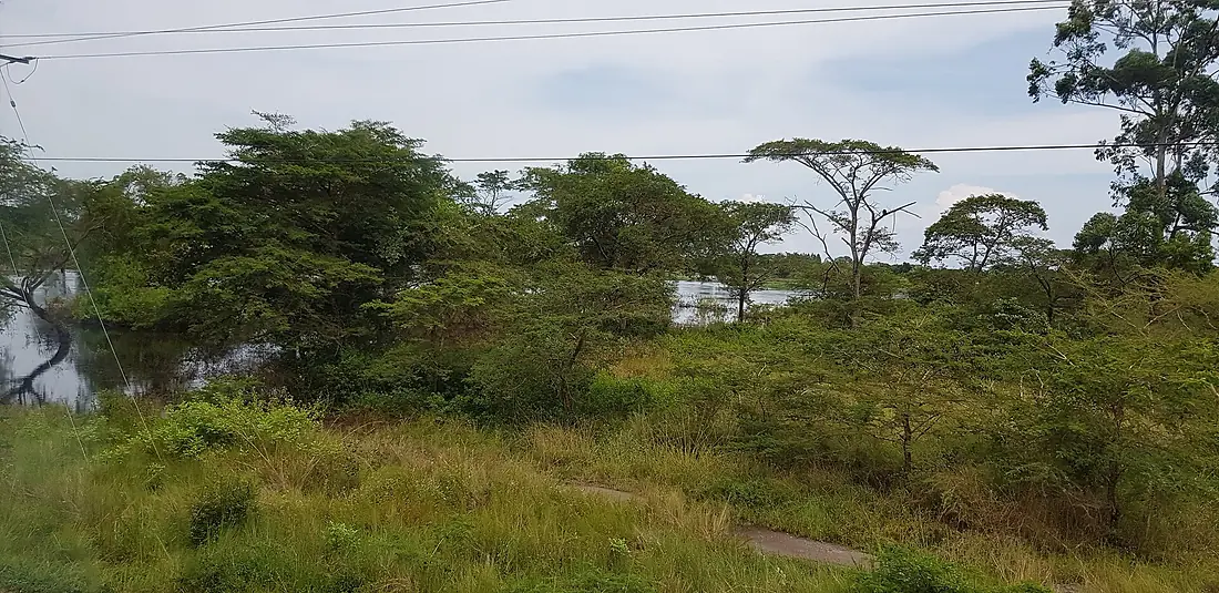 Karuma