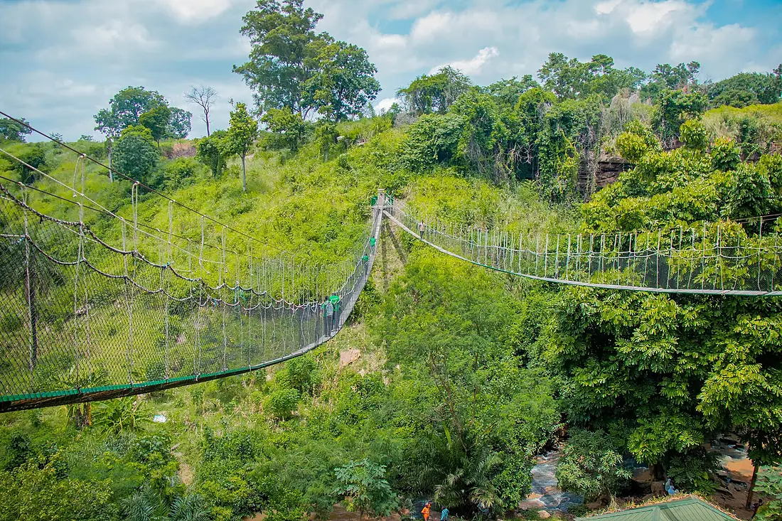 A beautiful canopy walkway at Kintampo Waterfalls