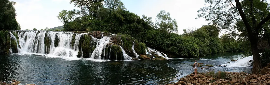 Kocusa