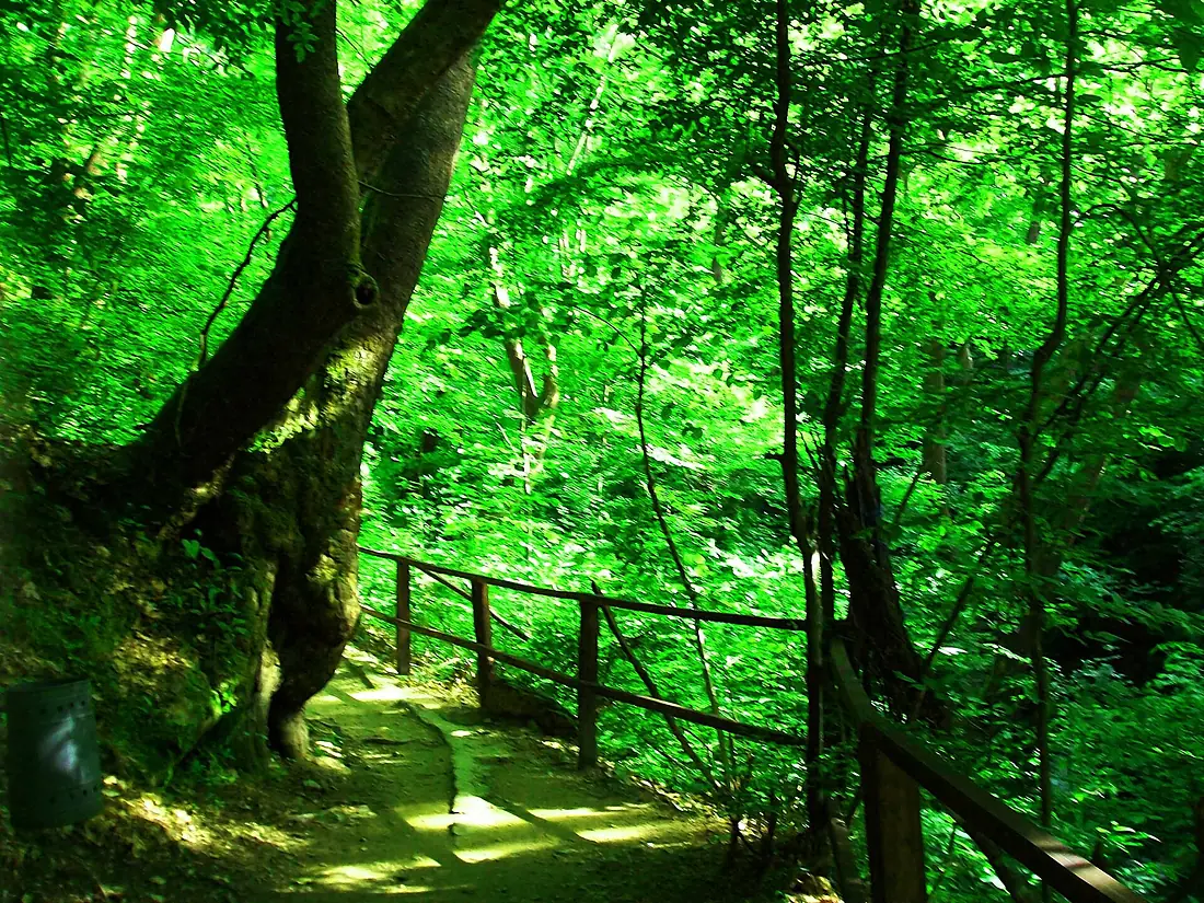 Koleshino Waterfall , 12