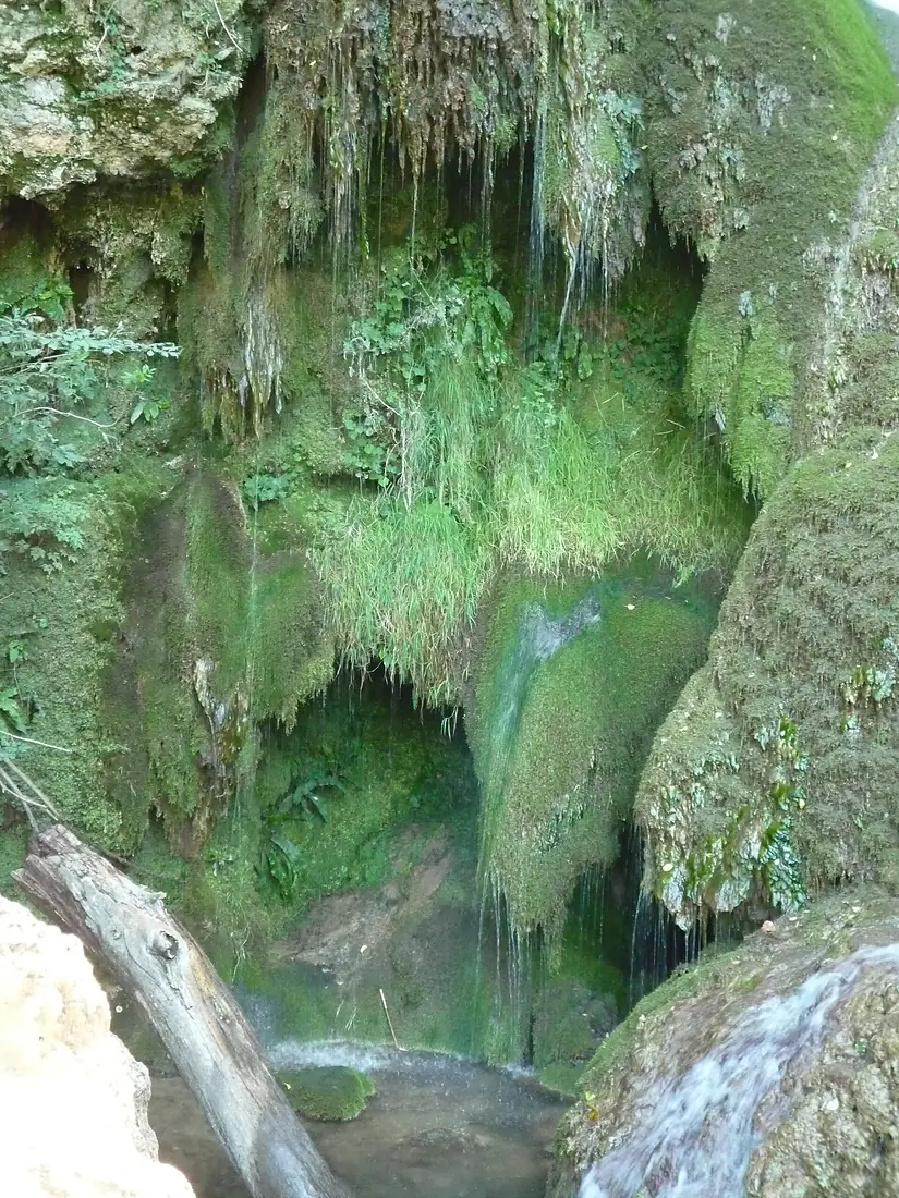 Bulgaria - Krushuna waterfall Green Rock - Крушунски водопад Зелената скала - panoramio