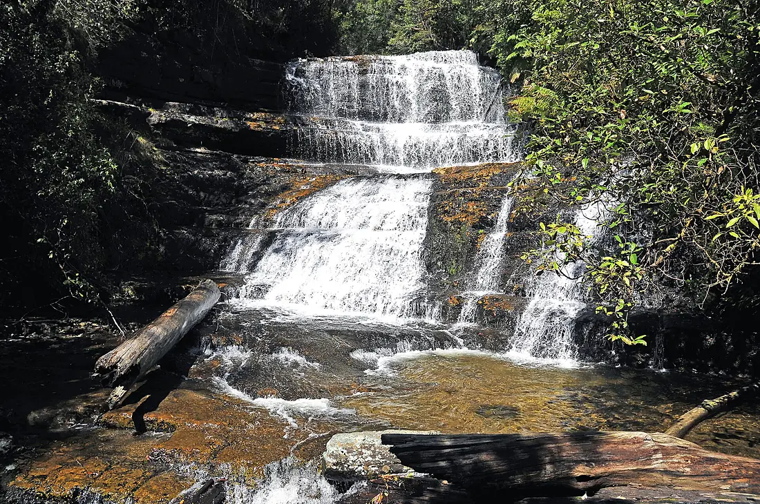 Lady Barron Falls 1