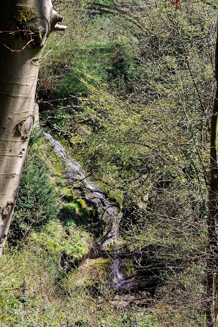 ND-HM 136 - Langenfelder Wasserfall (2)