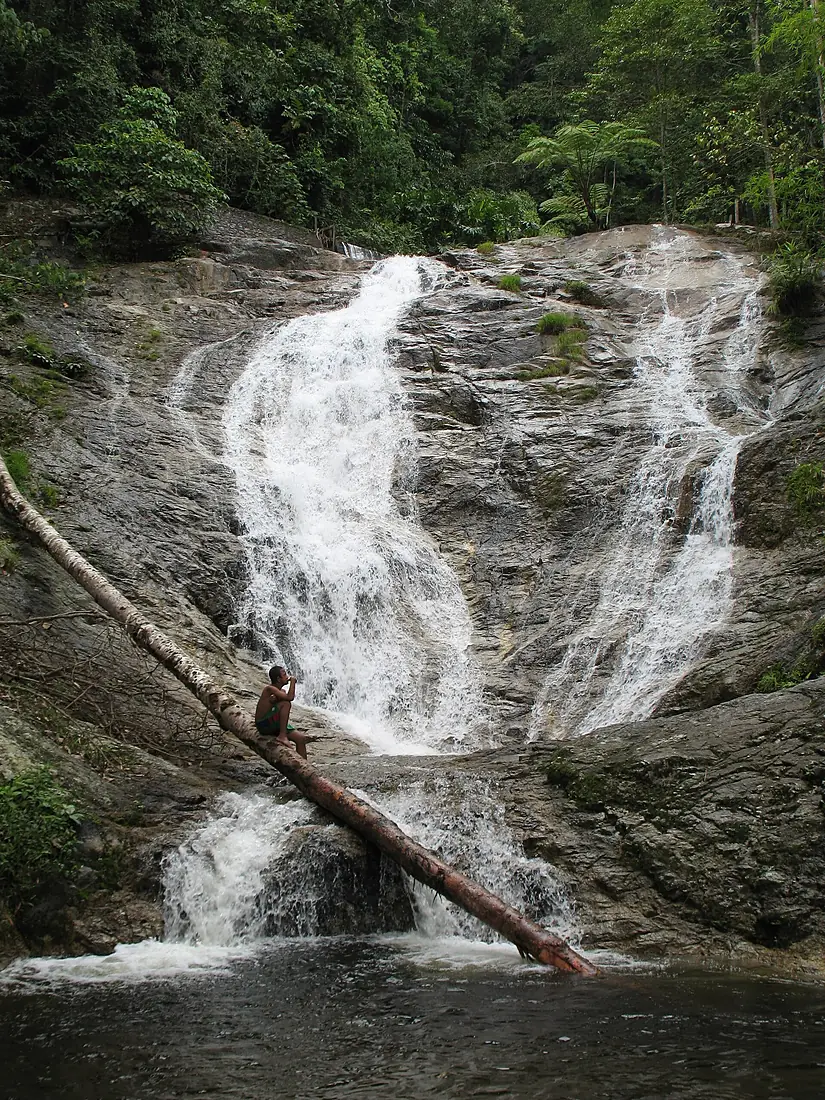 Lata Iskandar Waterfall, Cameron Highlands - panoramio