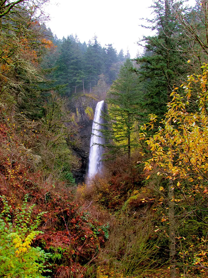 Columbia River Gorge (8237578197)