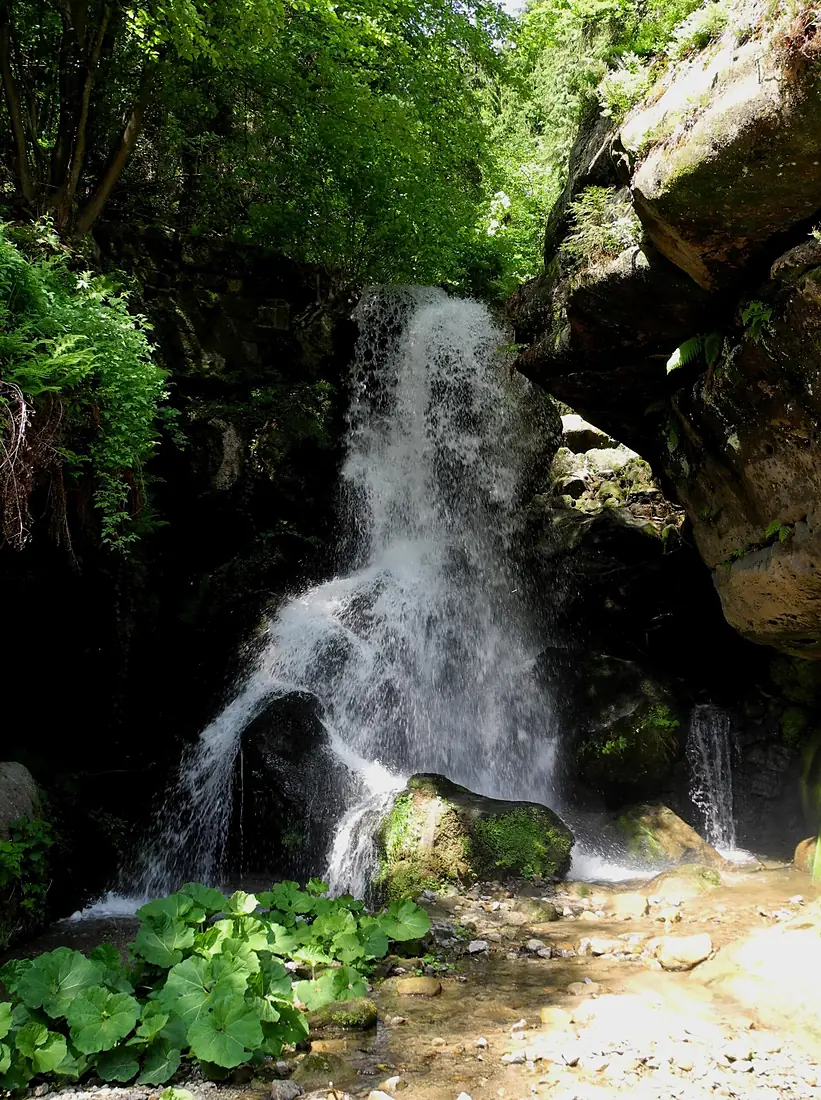 Bad Schandau - Lichtenhainer Wasserfall im Kirnitzschtal