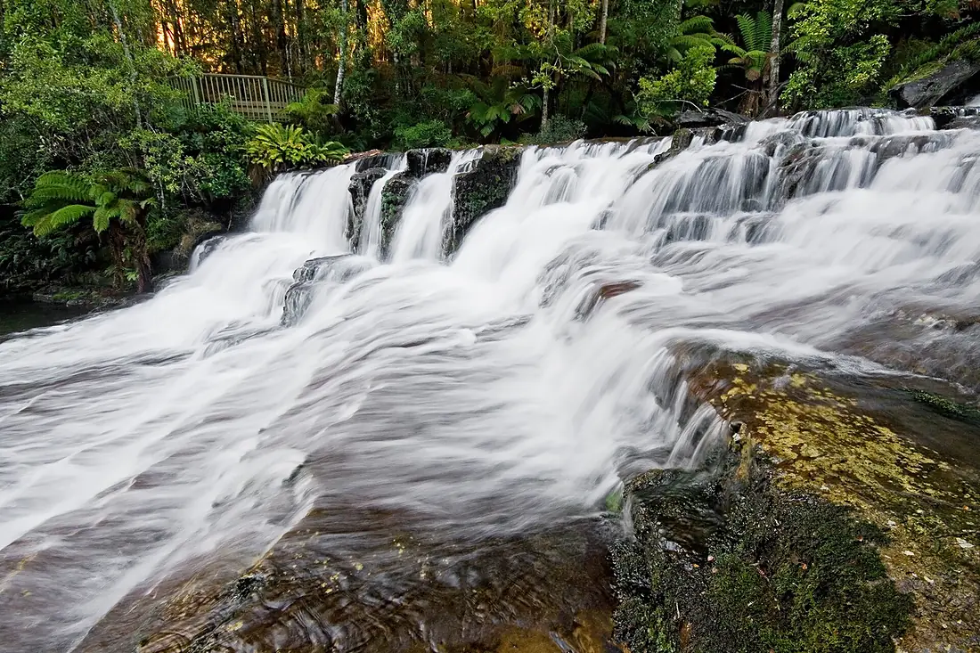 Liffey Cascade, Liffey, Tasmania