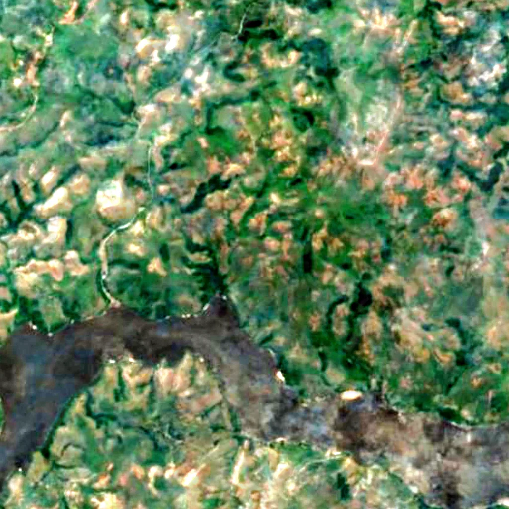 Livingstone Falls seen from above (Sentinel-2)