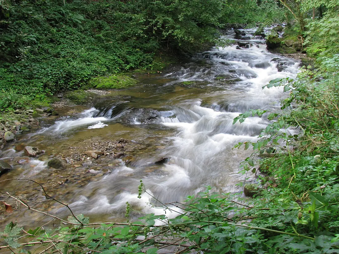 Pohorje (2813350243)