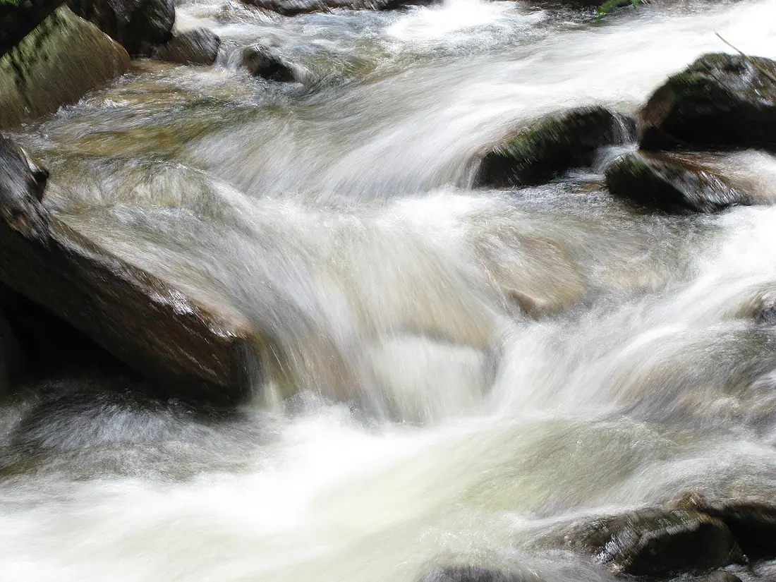 Lobnica (2813372433)