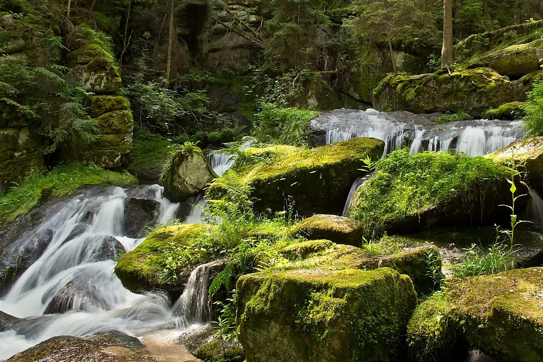 Lohnbachfall bei Schönbach 02