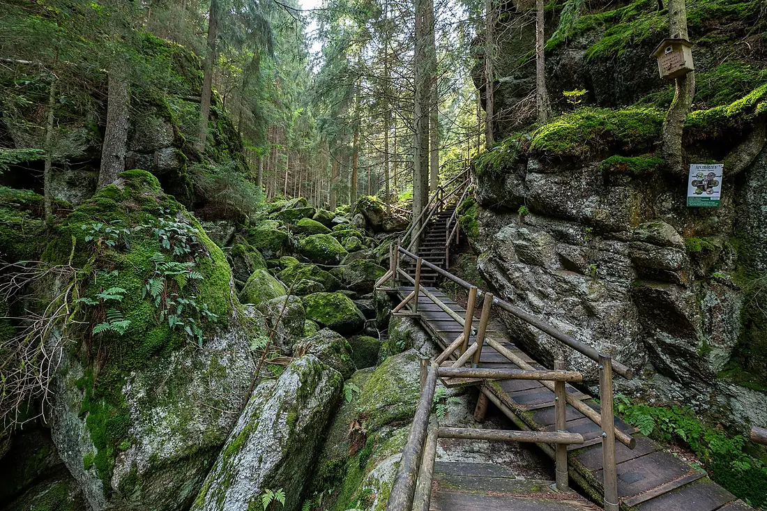 Lohnbachfall Steiganlage 2025 a