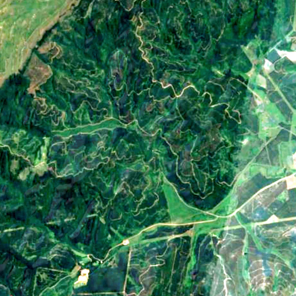 Lone Creek Falls seen from above (Sentinel-2)