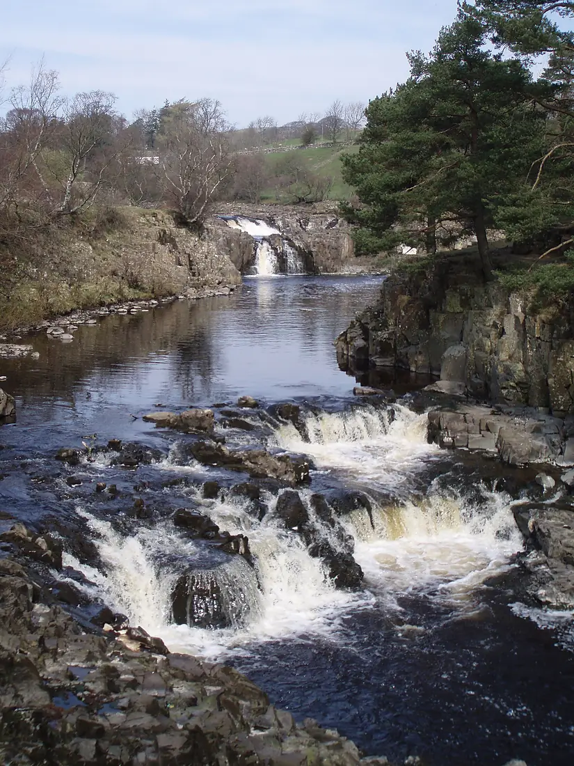 Low Force