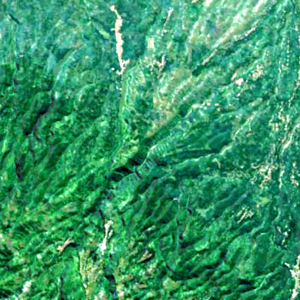 Madakaripura Waterfall seen from above (Sentinel-2)