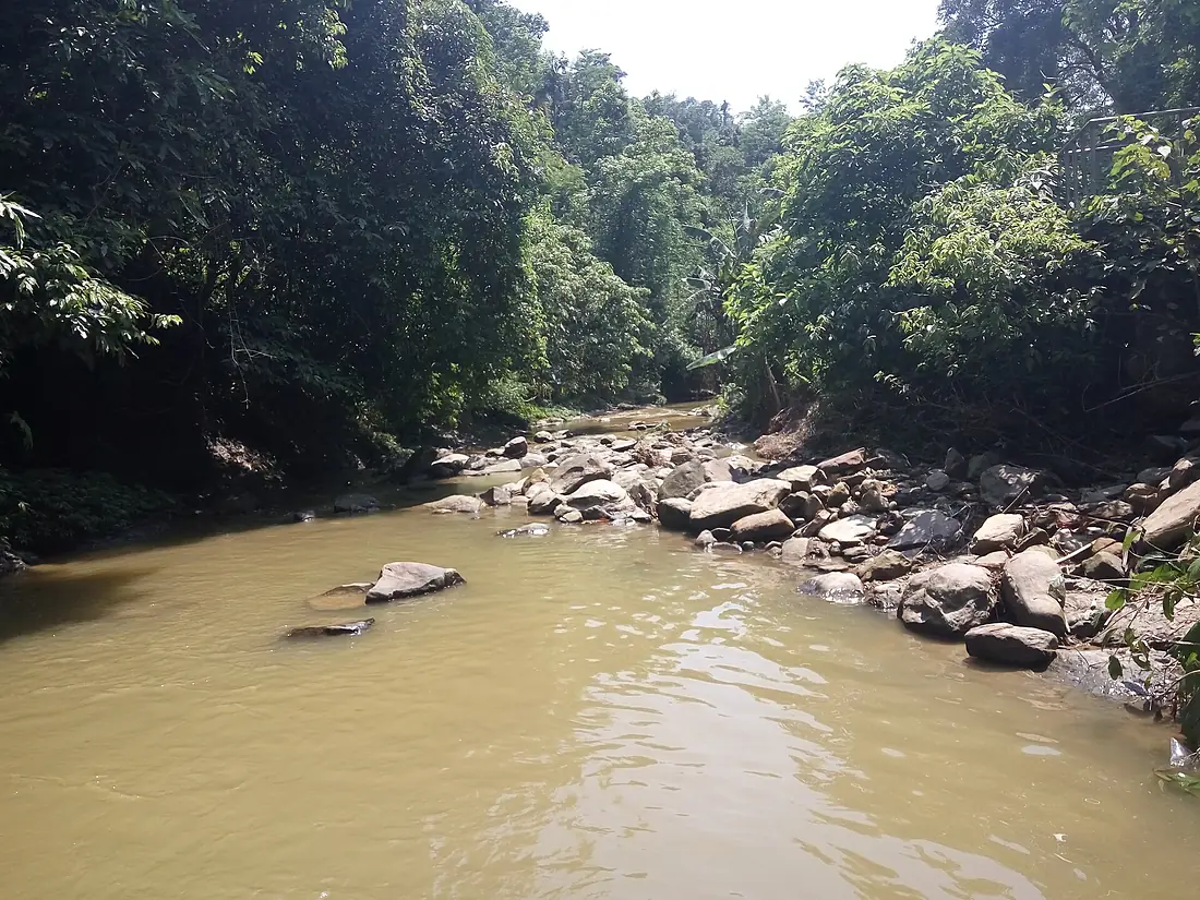 Downstream of Madhabkunda Waterfall