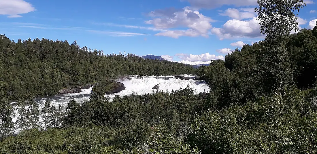 Målselvfossen, 2020