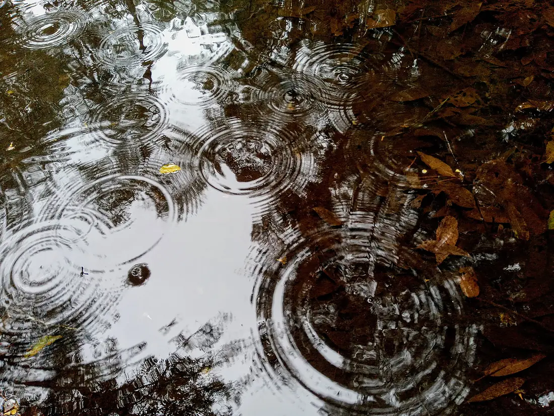 Pluie de chute à Mandraka Parc