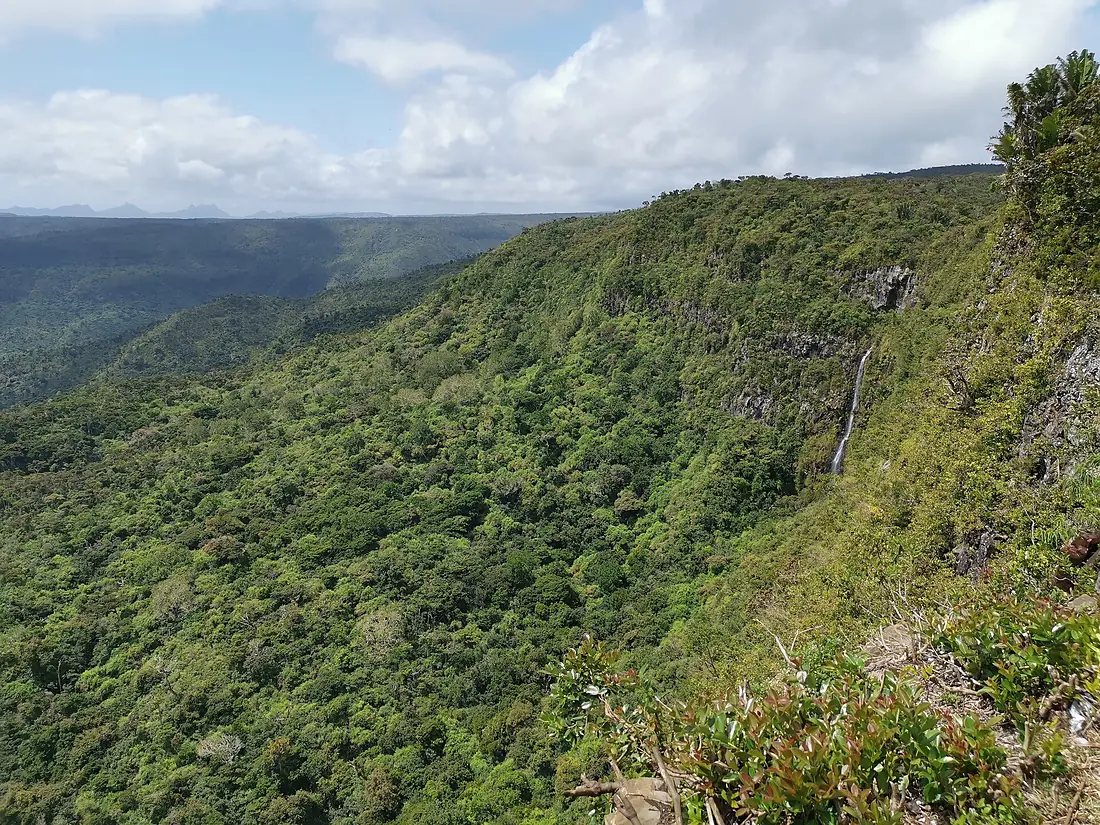 Black river gorges national park 2019-09-28 8
