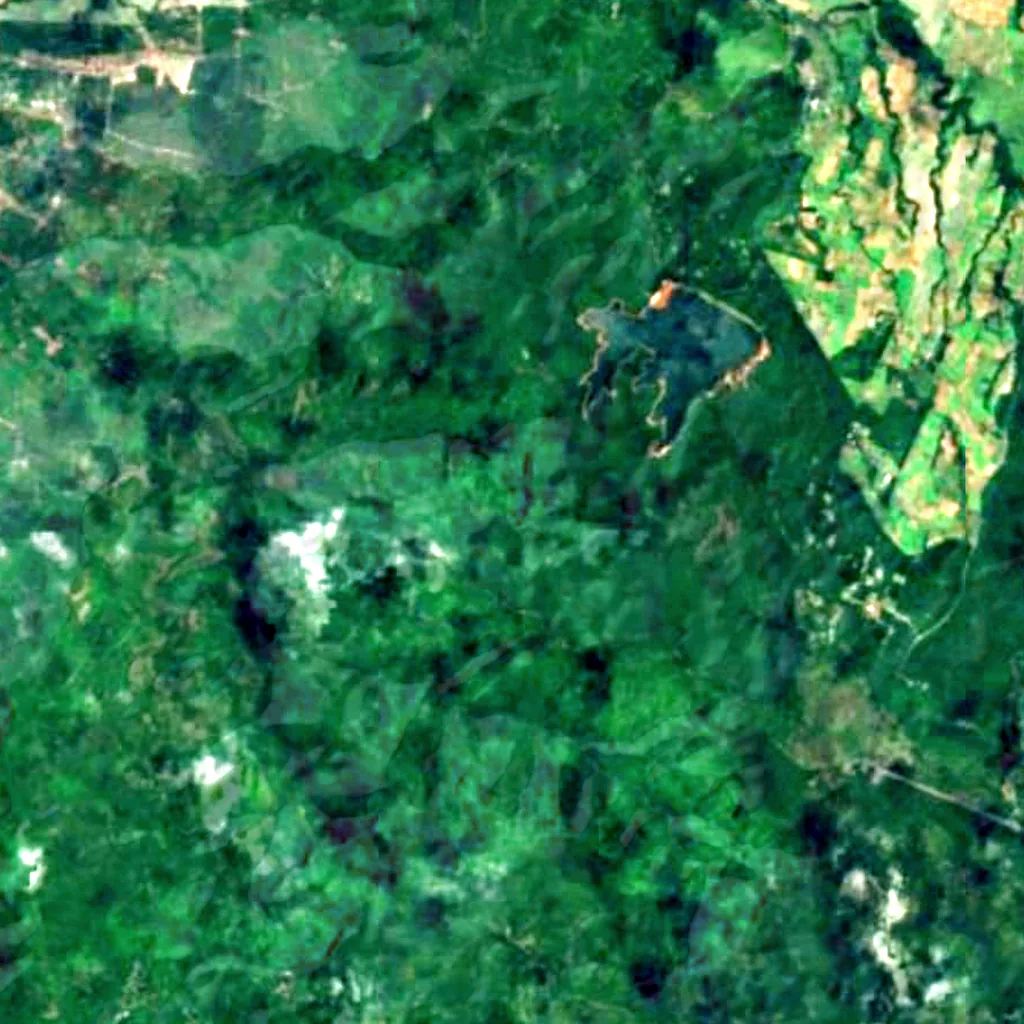 Mare aux Joncs seen from above (Sentinel-2)