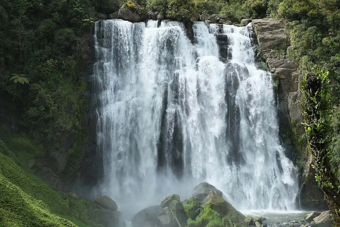 Marokopa Falls and tree fern stump