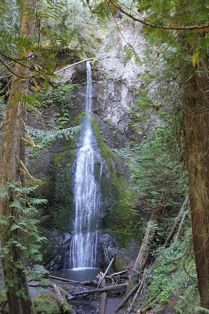 Marymere Falls - panoramio