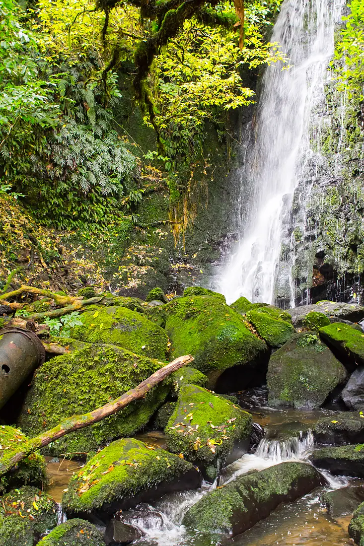NZ130315 Matai Falls 01