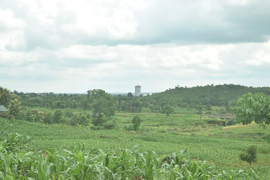 Crop field by Kabyiek Tityong Waterfalls 1