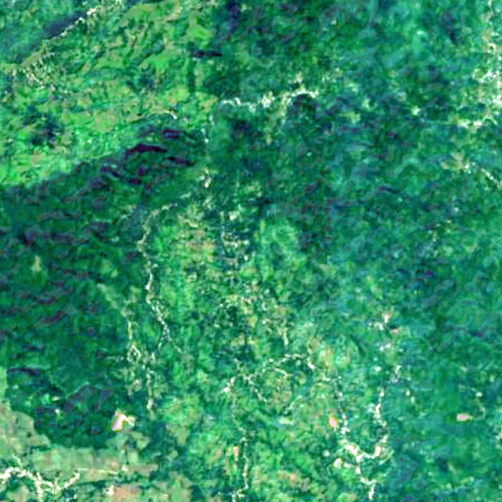 Mayfield Falls seen from above (Sentinel-2)