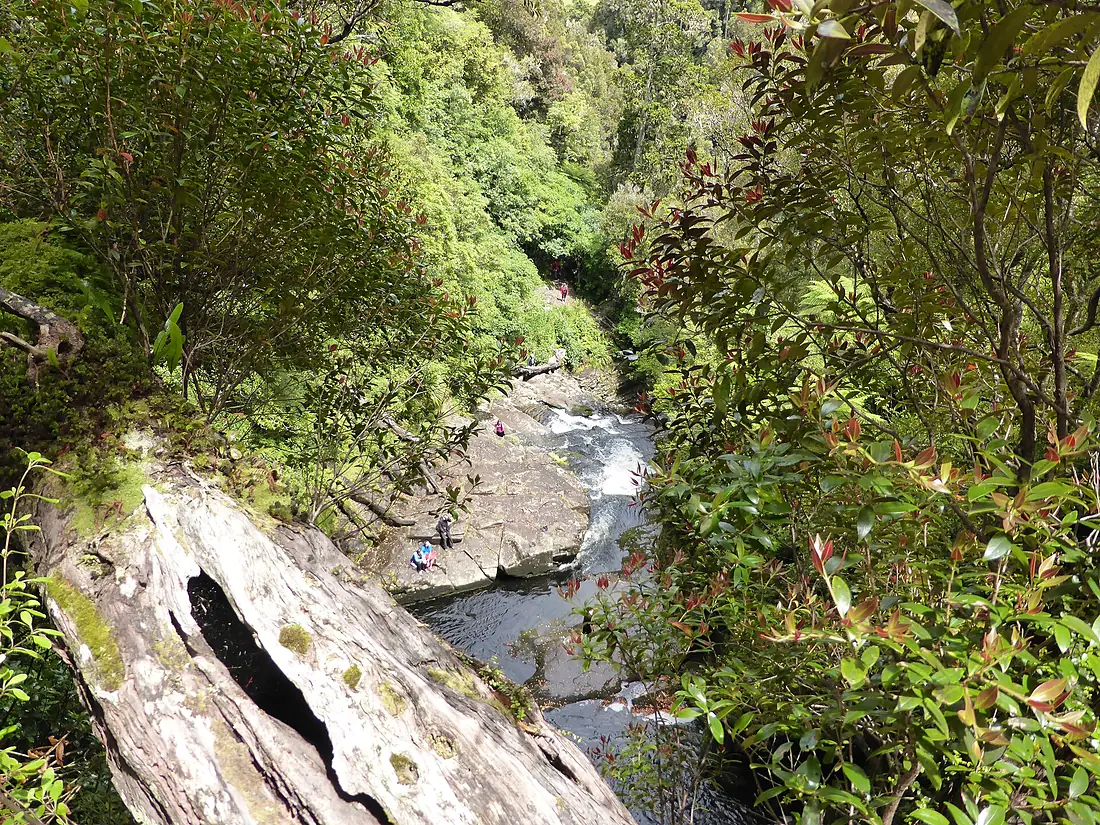 McLean Falls looking down - panoramio