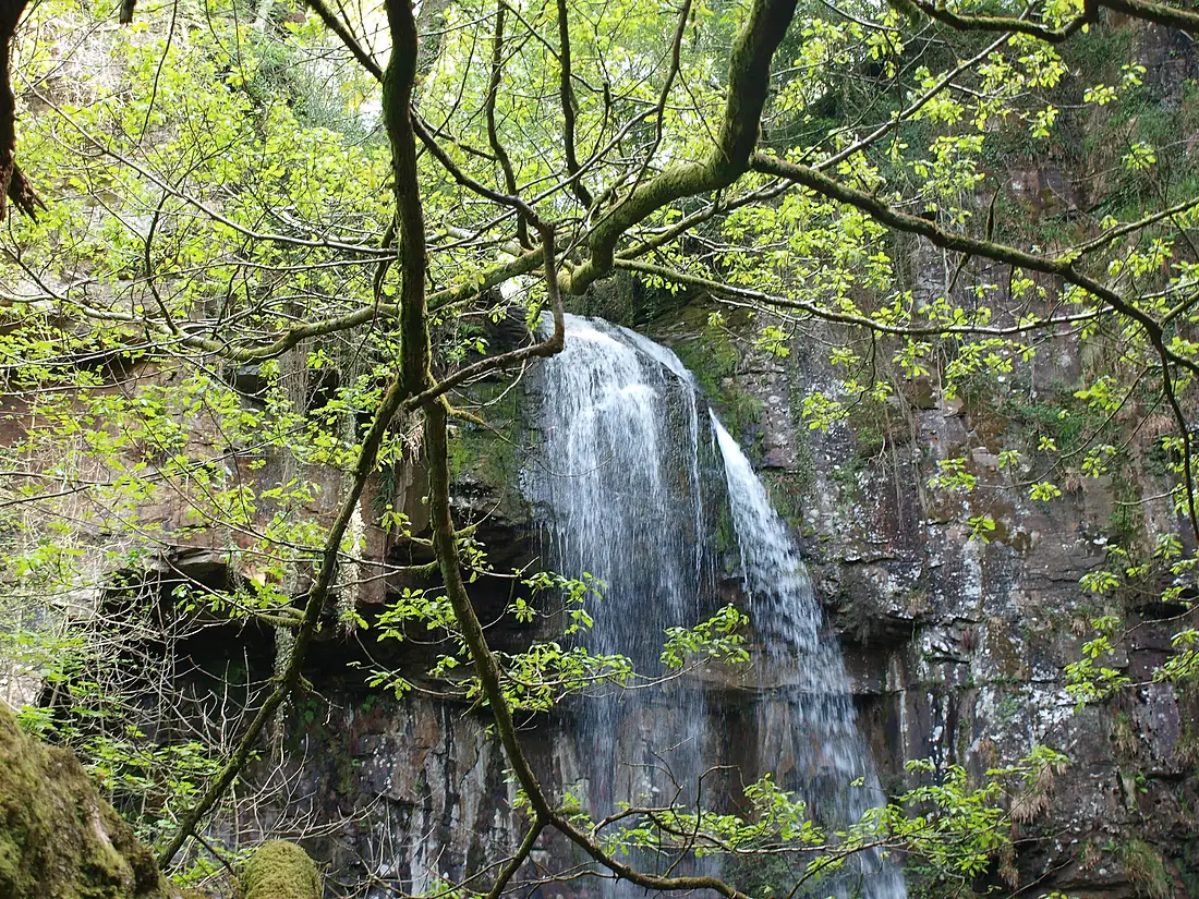 Melincourt Falls Nature Reserve, Wales - 5722683243