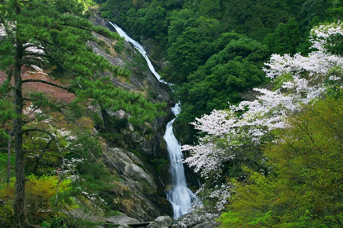見帰りの滝 - panoramio - mahlervv
