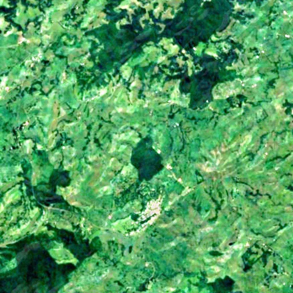 Millaa Millaa Falls seen from above (Sentinel-2)