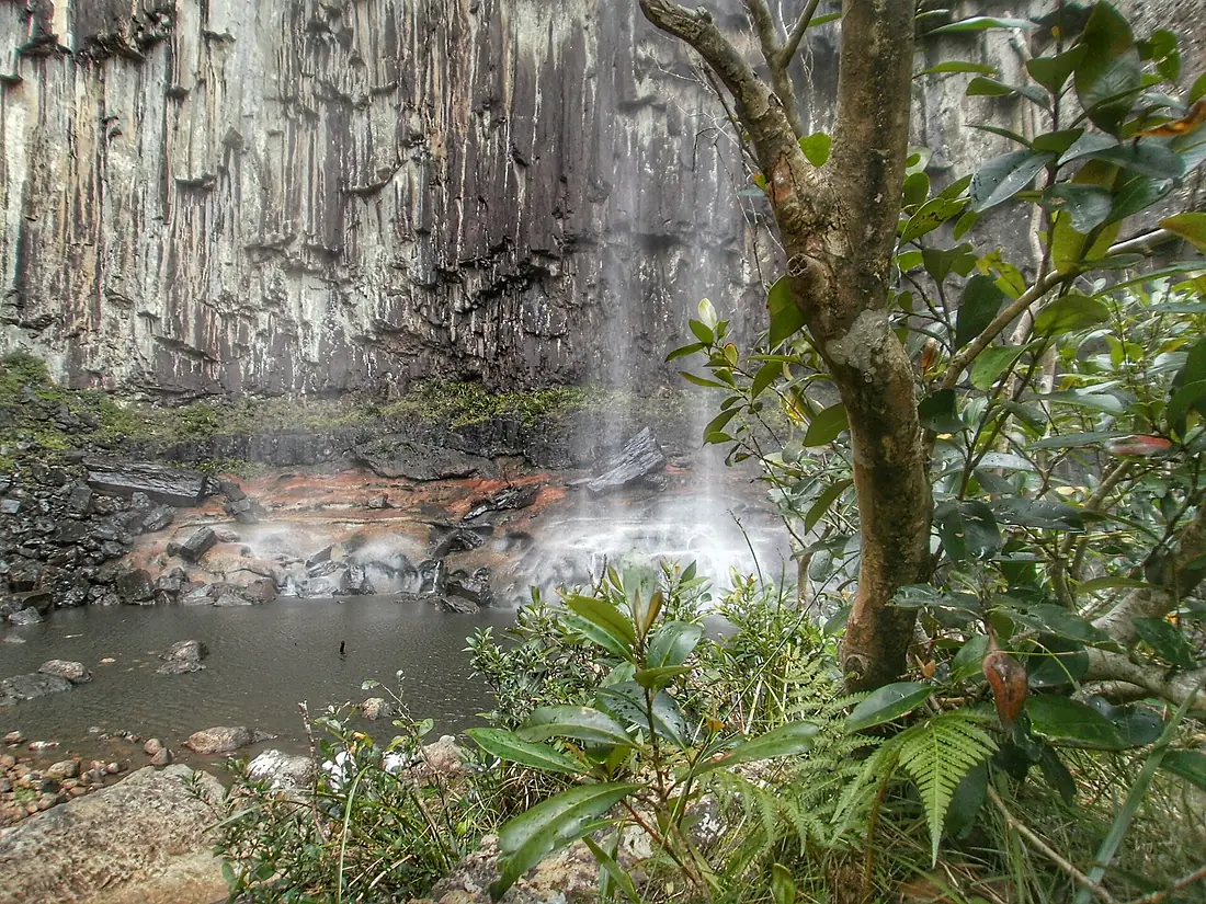 Minyon Falls through the trees