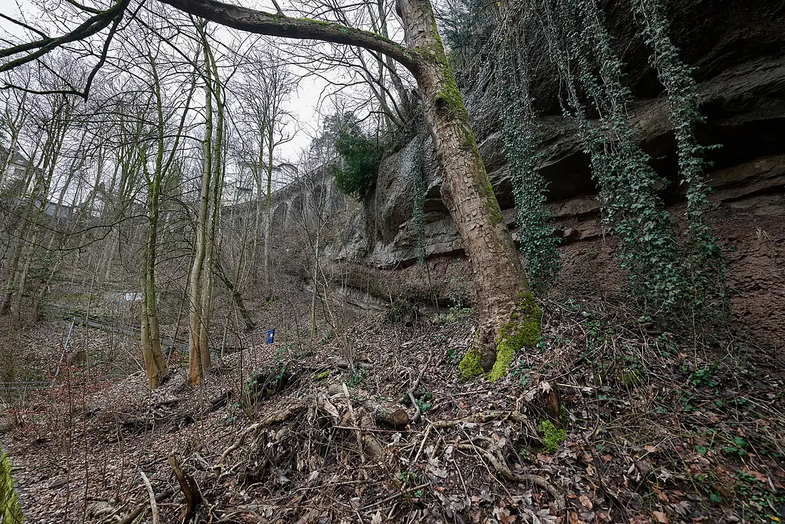 Mülenenschlucht St. Gallen 2024-02-23 01