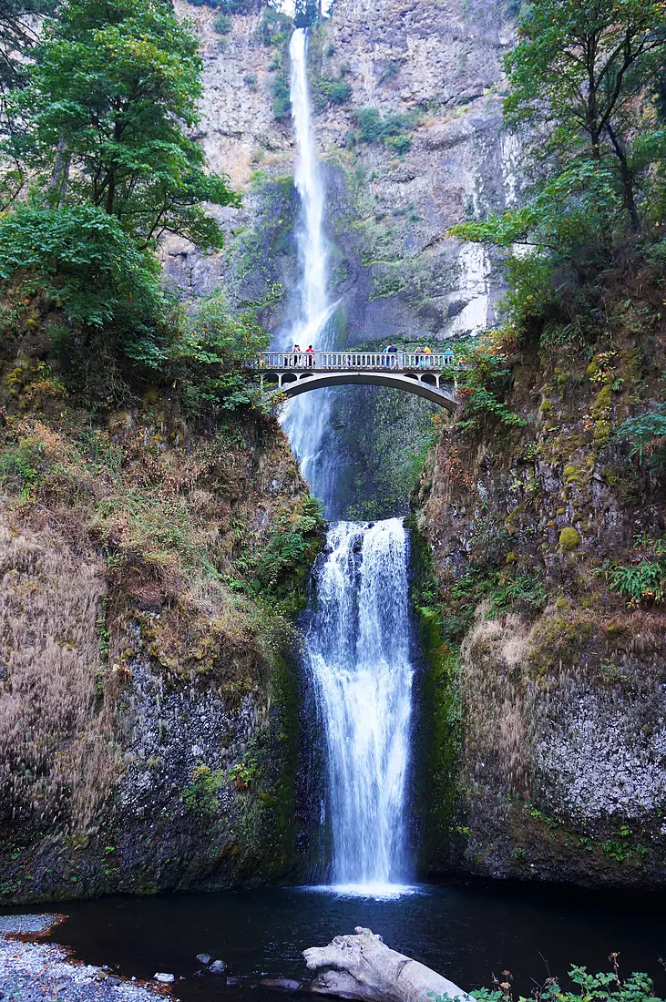 A waterfall on the Columbia River system (8081035888)