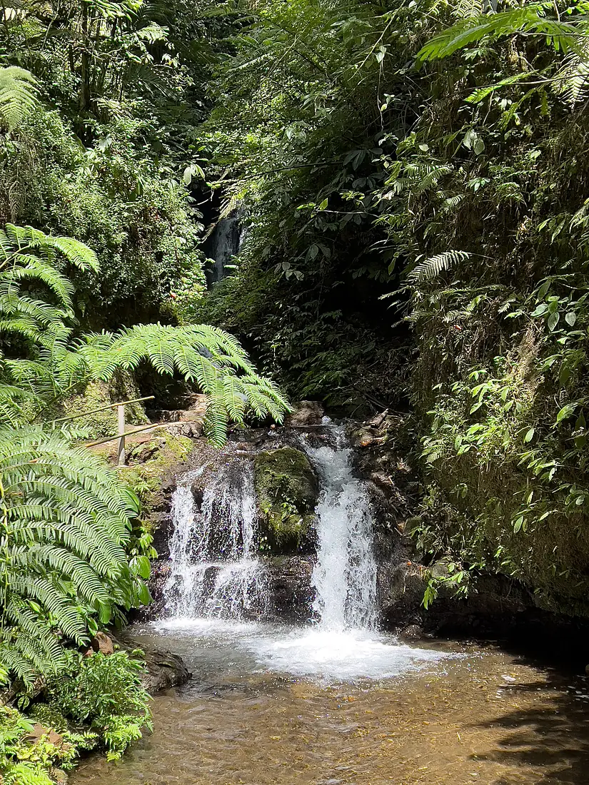 Munduk Tutub Waterfall SF0002